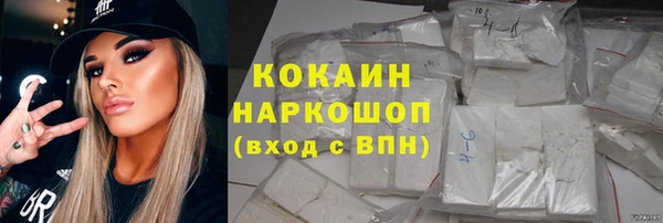 шишки Вязники