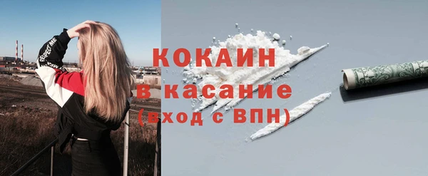 гашик Горняк