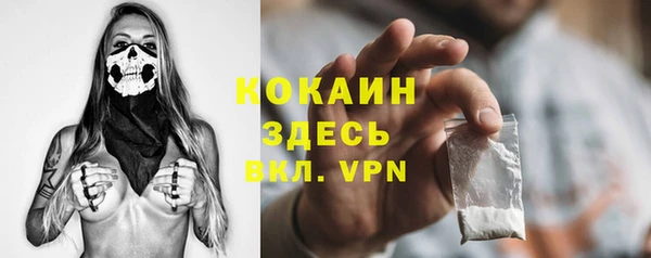 шишки Вязники