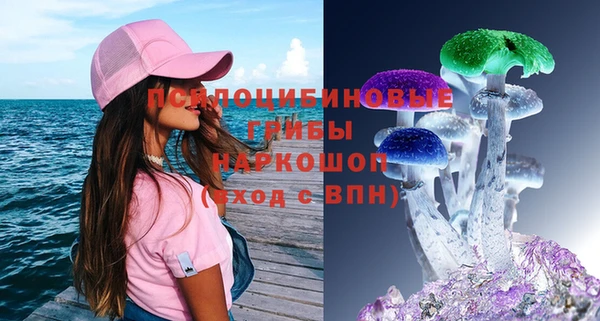 амф Горнозаводск