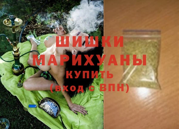 гашик Горняк