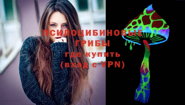 шишки Вязники