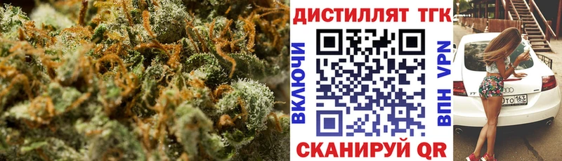 ТГК концентрат  Купить  Питкяранта 