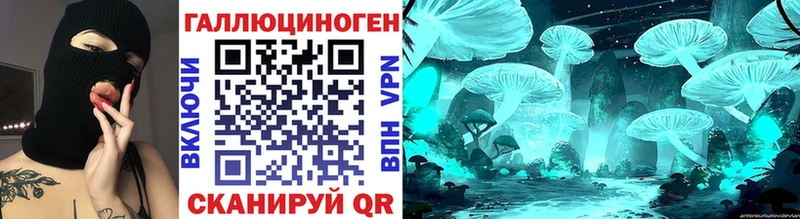Псилоцибиновые грибы GOLDEN TEACHER Купить закладки Питкяранта